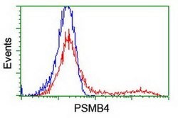 PSMB4 Monoclonal Antibody (OTI7B4), TrueMAB , OriGene 100 &mu;L; Unconjugated:Antibodies,