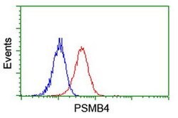 PSMB4 Monoclonal Antibody (OTI2H2), TrueMAB , OriGene 100 &mu;L; Unconjugated:Antibodies,