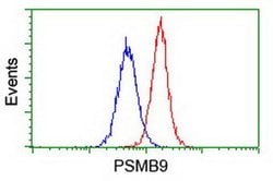 PSMB9 Monoclonal Antibody (OTI1D1), TrueMAB , OriGene 30 &mu;L; Unconjugated:Antibodies,