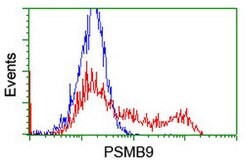 PSMB9 Mouse anti-Human, Clone: OTI1G7, lyophilized, TrueMAB 100 &mu;g;