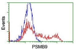 PSMB9 Monoclonal Antibody (OTI1G7), TrueMAB , OriGene 30 &mu;L; Unconjugated:Antibodies,