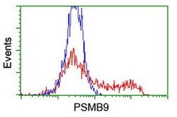 PSMB9 Monoclonal Antibody (OTI3H1), TrueMAB , OriGene 30 &mu;L; Unconjugated:Antibodies,