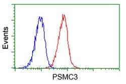 PSMC3 Monoclonal Antibody (OTI9F3), TrueMAB , OriGene 100 &mu;L; Unconjugated:Antibodies,