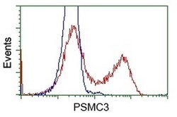 PSMC3 Mouse anti-Human, Clone: OTI1G4, lyophilized, TrueMAB 100 &mu;g;