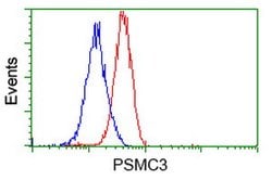 PSMC3 Mouse anti-Human, Clone: OTI1G4, lyophilized, TrueMAB 100 &mu;g;
