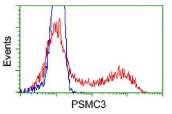 PSMC3 Mouse anti-Human, Clone: OTI10D12, lyophilized, TrueMAB 100 &mu;g;