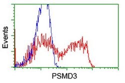 PSMD3 Mouse anti-Human, Clone: OTI2C2, lyophilized, TrueMAB 100 &mu;g;