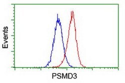 PSMD3 Mouse anti-Human, Clone: OTI2C2, lyophilized, TrueMAB 100 &mu;g;