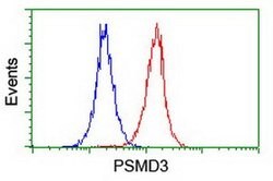 PSMD3 Monoclonal Antibody (OTI2A2), TrueMAB , OriGene 100 &mu;L; Unconjugated:Antibodies,