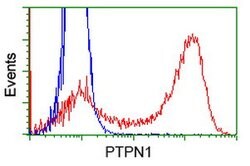 PTPN1 Mouse anti-Human, Clone: OTI1A2, lyophilized, TrueMAB 100 &mu;g;
