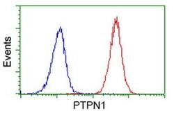 PTPN1 Mouse anti-Human, Clone: OTI1A2, lyophilized, TrueMAB 100 &mu;g;