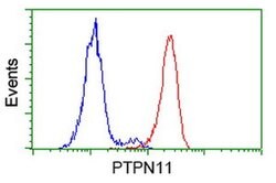 PTPN11 Monoclonal Antibody (OTI2F4), TrueMAB , OriGene 100 &mu;L; Unconjugated:Antibodies,