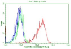 PTPRC Mouse anti-Human, Clone: OTI1B7, TrueMAB , Origene 30 &mu;L; Unconjugated:Antibodies,