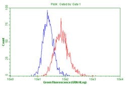 PTPRE Mouse anti-Human, Clone: OTI3D4, lyophilized, TrueMAB 100 &mu;g;