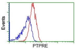 PTPRE Mouse anti-Human, Clone: OTI4G2, lyophilized, TrueMAB 100 &mu;g;