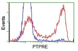 PTPRE Mouse anti-Human, Clone: OTI3E1, lyophilized, TrueMAB 100 &mu;g;