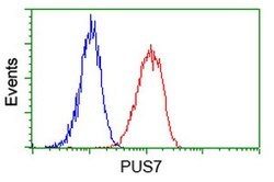PUS7 Mouse anti-Canine, Human, Rat, Clone: OTI5F12, lyophilized, TrueMAB