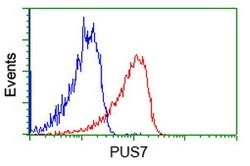 PUS7 Mouse anti-Canine, Human, Rat, Clone: OTI5F12, lyophilized, TrueMAB
