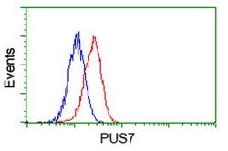 PUS7 Mouse anti-Canine, Human, Rat, Clone: OTI4C6, lyophilized, TrueMAB 100 &mu;g | Buy Online | OriGene | Fisher Scientific