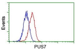 PUS7 Mouse anti-Canine, Human, Rat, Clone: OTI4C6, liquid, TrueMAB 100