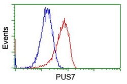 PUS7 Monoclonal Antibody (OTI4H5), TrueMAB , OriGene 100 &mu;L; Unconjugated:Antibodies,