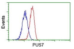 PUS7 Monoclonal Antibody (OTI4H5), TrueMAB , OriGene 100 &mu;L; Unconjugated:Antibodies,