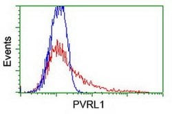 PVRL1 Monoclonal Antibody (OTI6E11), TrueMAB , OriGene 100 &mu;L; Unconjugated:Antibodies,
