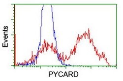 PYCARD Monoclonal Antibody (OTI1A2), TrueMAB , OriGene 30 &mu;L; Unconjugated:Antibodies,