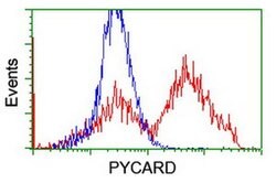 PYCARD Mouse anti-Human, Clone: OTI2A7, liquid, TrueMAB 30 &mu;L; Unconjugated:Antibodies,
