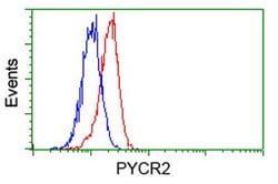PYCR2 Mouse anti-Human, Clone: OTI2A5, lyophilized, TrueMAB 100 &mu;g;