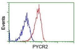 PYCR2 Mouse anti-Human, Clone: OTI2A5, lyophilized, TrueMAB 100 &mu;g;