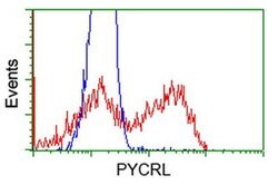 PYCRL Monoclonal Antibody (OTI3A8), TrueMAB , OriGene 30 &mu;L; Unconjugated:Antibodies,