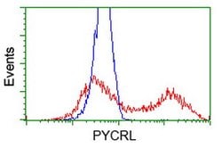 PYCRL Mouse anti-Human, Clone: OTI1C11, lyophilized, TrueMAB 100 &mu;g;