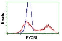 PYCRL Monoclonal Antibody (OTI1C11), TrueMAB , OriGene 100 &mu;L; Unconjugated:Antibodies,