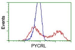 PYCRL Mouse anti-Human, Clone: OTI2E10, lyophilized, TrueMAB 100 &mu;g;