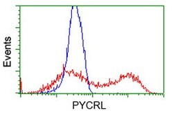 PYCRL Mouse anti-Human, Clone: OTI8H6, lyophilized, TrueMAB 100 &mu;g;