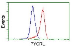 PYCRL Mouse anti-Human, Clone: OTI8H6, lyophilized, TrueMAB 100 &mu;g;