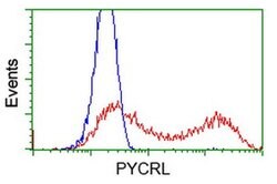 PYCRL Monoclonal Antibody (OTI3B9), TrueMAB , OriGene 100 &mu;L; Unconjugated:Antibodies,