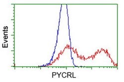 PYCRL Mouse anti-Human, Rat, Clone: OTI1B12, lyophilized, TrueMAB 100 &mu;g;