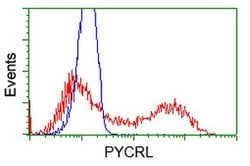 PYCRL Mouse anti-Human, Clone: OTI5F7, lyophilized, TrueMAB 100 &mu;g;