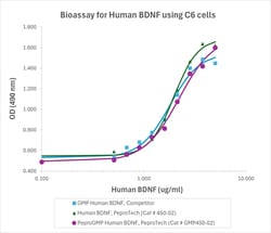 Gibco™ PeproGMP® Human BDNF Recombinant Protein, PeproTech®