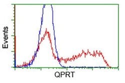 QPRT Monoclonal Antibody (OTI4B3), TrueMAB , OriGene 100 &mu;L; Unconjugated:Antibodies,