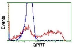 QPRT Monoclonal Antibody (OTI4B4), TrueMAB , OriGene 100 &mu;L; Unconjugated:Antibodies,