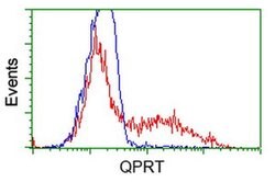 QPRT Mouse anti-Human, Clone: OTI7A8, liquid, TrueMAB 100 &mu;L; Unconjugated:Antibodies,