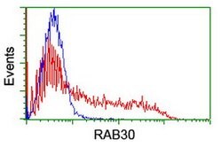 RAB30 Mouse anti-Human, Clone: OTI3C6, lyophilized, TrueMAB 100 &mu;g;
