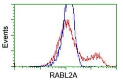 RABL2A Monoclonal Antibody (OTI4A8), TrueMAB , OriGene 30 &mu;L; Unconjugated:Antibodies,