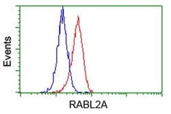 RABL2A Monoclonal Antibody (OTI4A8), TrueMAB , OriGene 30 &mu;L; Unconjugated:Antibodies,