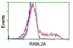 RABL2A Mouse anti-Human, Clone: OTI1A12, lyophilized, TrueMAB 100 &mu;g;