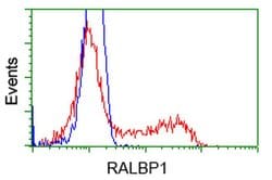 RALBP1 Mouse anti-Human, Clone: OTI1H9, liquid, TrueMAB 100 &mu;L; Unconjugated:Antibodies,