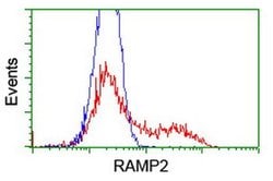 RAMP2 Mouse anti-Human, Clone: OTI4E5, liquid, TrueMAB 100 &mu;L; Unconjugated:Antibodies,
